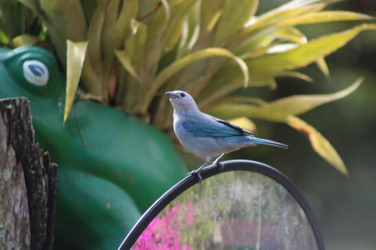 Kantarrana Casa De Campo Jardin Kültér fotó