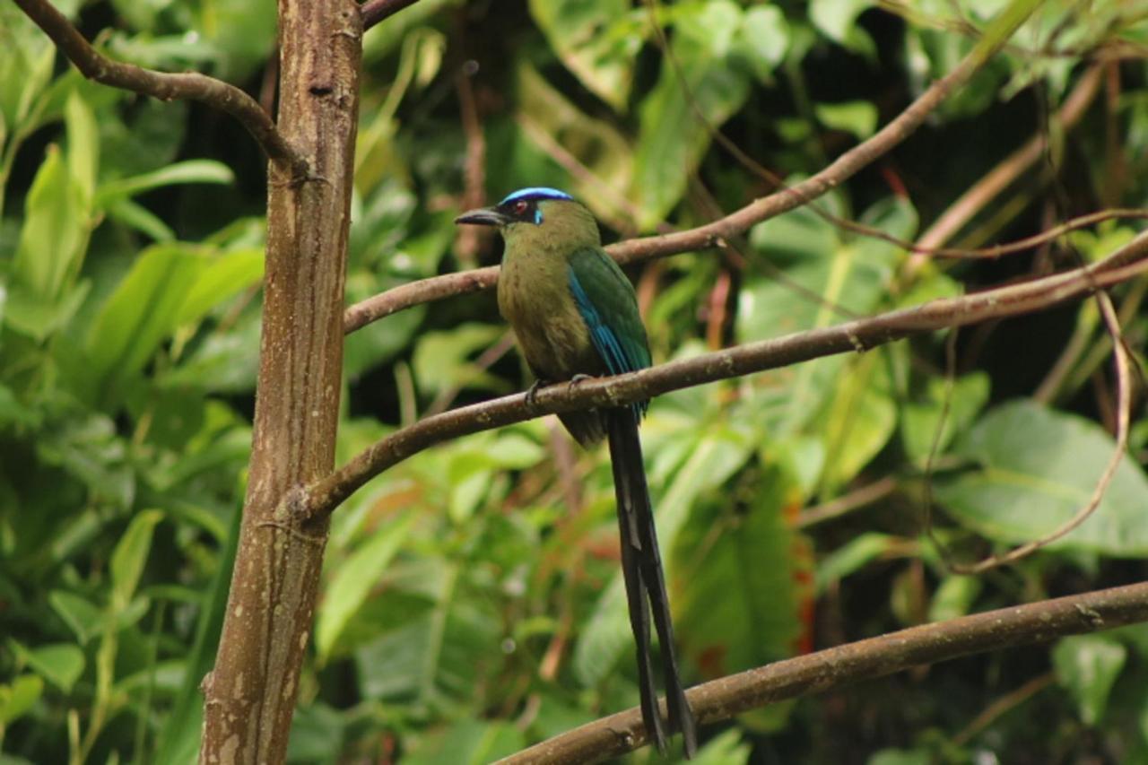 Kantarrana Casa De Campo Jardin Kültér fotó