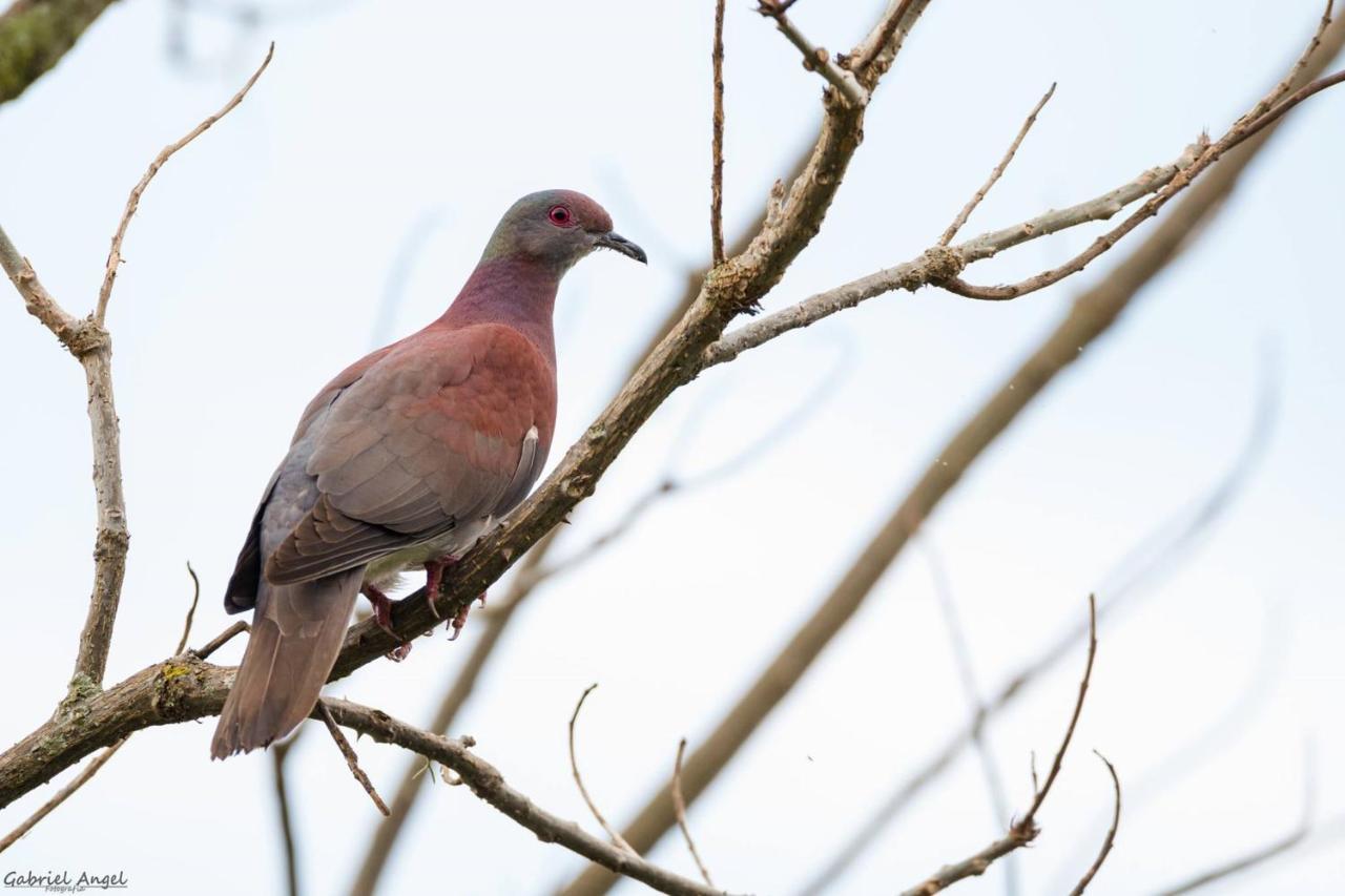 Kantarrana Casa De Campo Jardin Kültér fotó