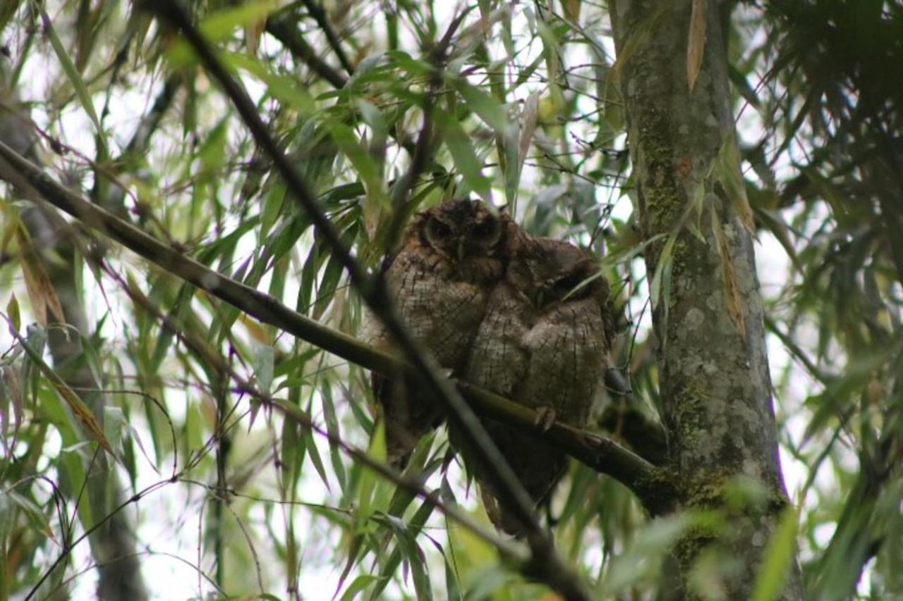 Kantarrana Casa De Campo Jardin Kültér fotó