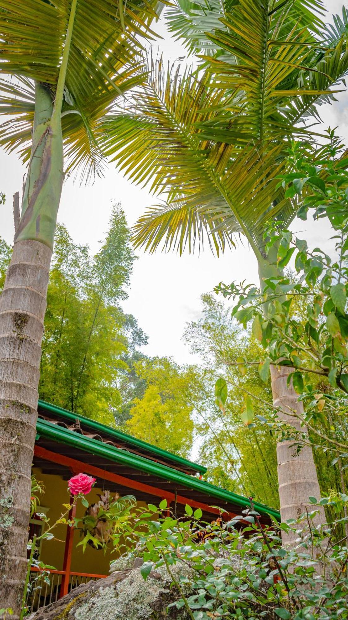 Kantarrana Casa De Campo Jardin Kültér fotó