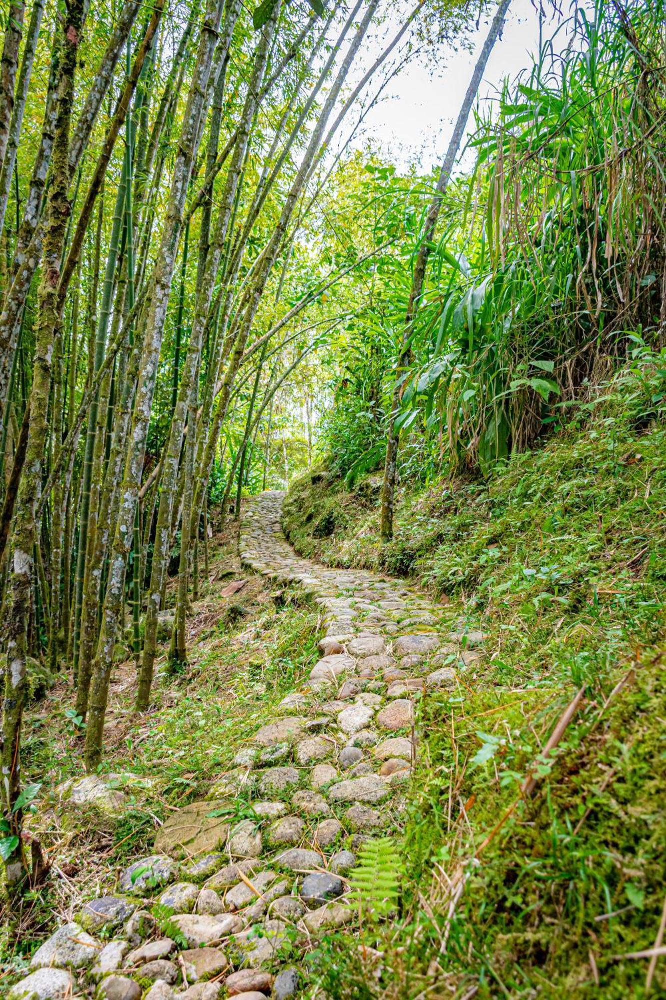 Kantarrana Casa De Campo Jardin Kültér fotó